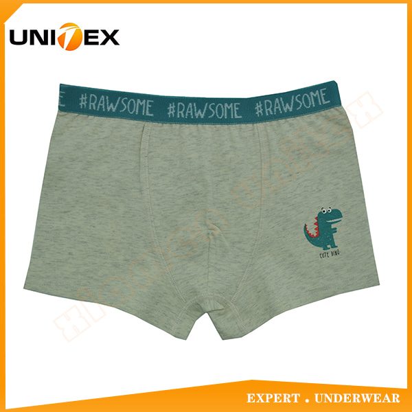Knowledge: What Type of Printing is Best For Underwear