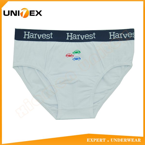 Boy Briefs
