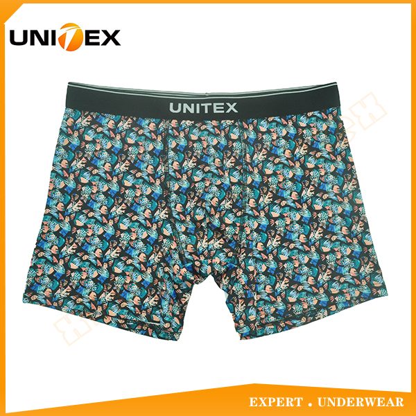 UT-M0073.jpg UT-M0073.jpg