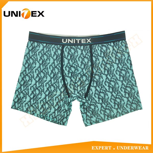 UT-M0081.jpg UT-M0081.jpg