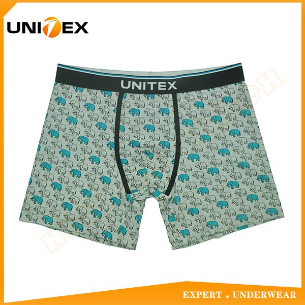 UT-M0088.jpg UT-M0088.jpg