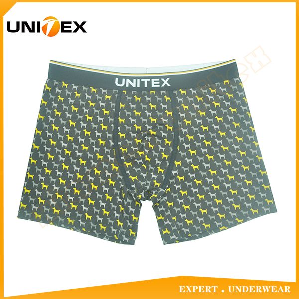 UT-M0100.jpg UT-M0100.jpg
