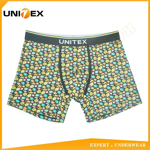 UT-M0103.jpg UT-M0103.jpg