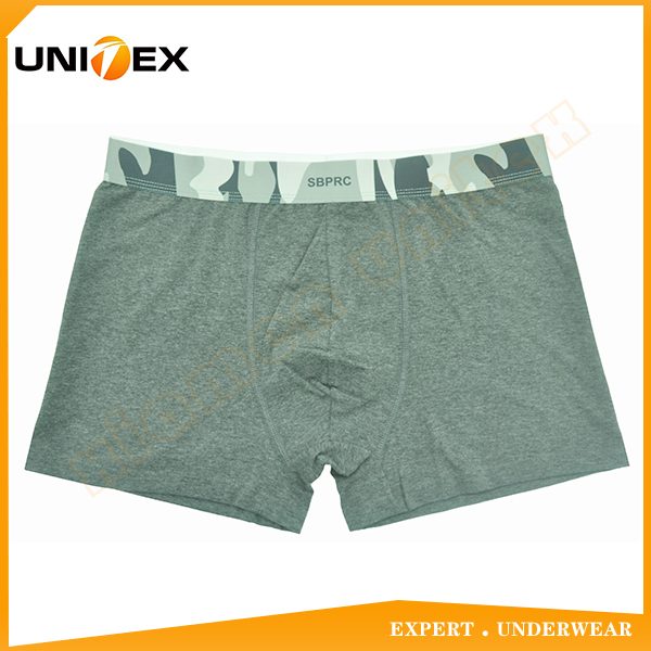 UT-M0129.jpg UT-M0129.jpg