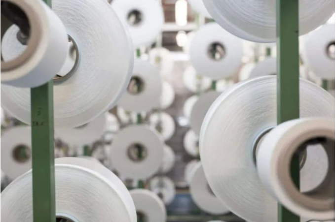The Most Sustainable Eco-Friendly Fabrics For Underwear
