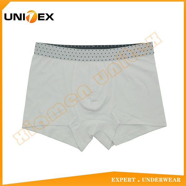 UT-M0136-2.jpg