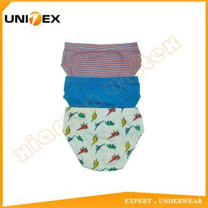 Boys’ Classic Briefs — 3-Piece Pack, Cotton, Custom Print — Cotton — Boys' Briefs & Thongs programme — thumbnail of OEM & private label sample 2