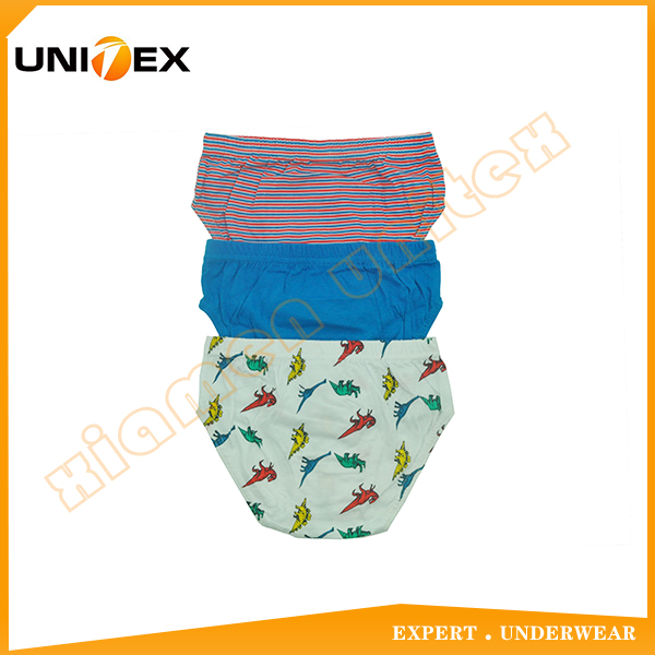 Boys’ Classic Briefs — 3-Piece Pack, Cotton, Custom Print — Cotton — Boys' Briefs & Thongs programme — OEM & private label detail photo 2