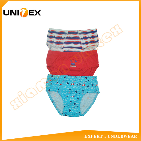 Kids’ Thong — 3-Piece Pack, Cotton, Custom Print — Boys' Briefs & Thongs programme — OEM & private label product photo 1