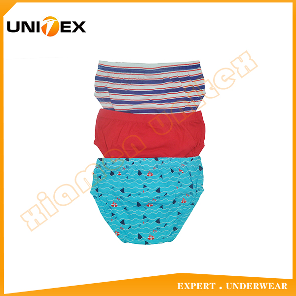 Kids’ Thong — 3-Piece Pack, Cotton, Custom Print — Boys' Briefs & Thongs programme — OEM & private label detail photo 2