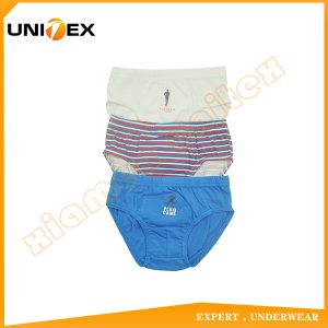 Boys’ Basic Briefs — 3-Piece Pack, Cotton, Custom Print — Breathable — Boys' Briefs & Thongs programme — OEM & private label sample photo 1