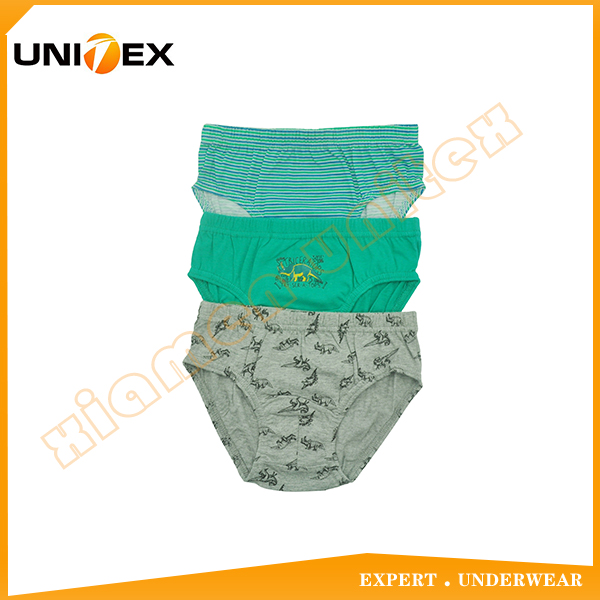 Boys’ Basic Thong Briefs — 3-Piece Pack, Cotton, Custom Print — Boys' Underwear programme — OEM & private label sample photo 1
