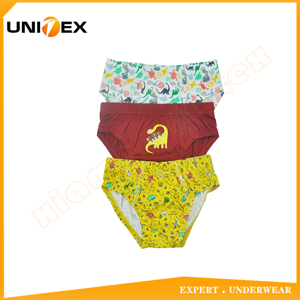 Boys’ Basic Briefs — 3-Piece Pack, Cotton, Custom Print — 100%cotton — Boys' Underwear programme — OEM & private label sample photo 1