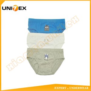 Boys’ Basic Briefs — 3-Piece Pack, Cotton, Custom Print — Design — Boys' Briefs & Thongs programme — OEM & private label sample photo 1
