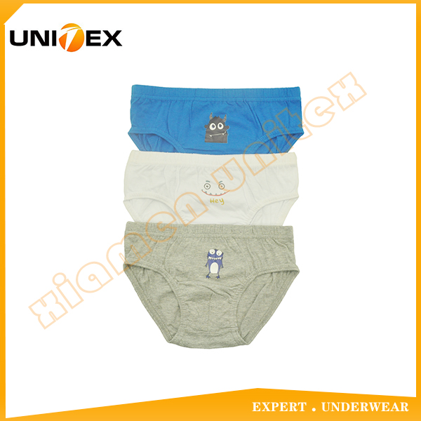 Boys’ Basic Briefs — 3-Piece Pack, Cotton, Custom Print — design — Boys' Underwear programme — OEM & private label sample photo 1