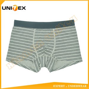 Men’s Boxer Briefs — Cotton, Moisture-Wicking, 160 GSM — Men's Boxers & Boxer Briefs programme — thumbnail of OEM & private label sample 1