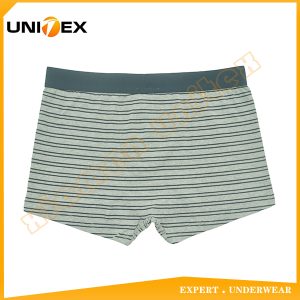 Men’s Boxer Briefs — Cotton, Moisture-Wicking, 160 GSM — Men's Boxers & Boxer Briefs programme — thumbnail of OEM & private label sample 2