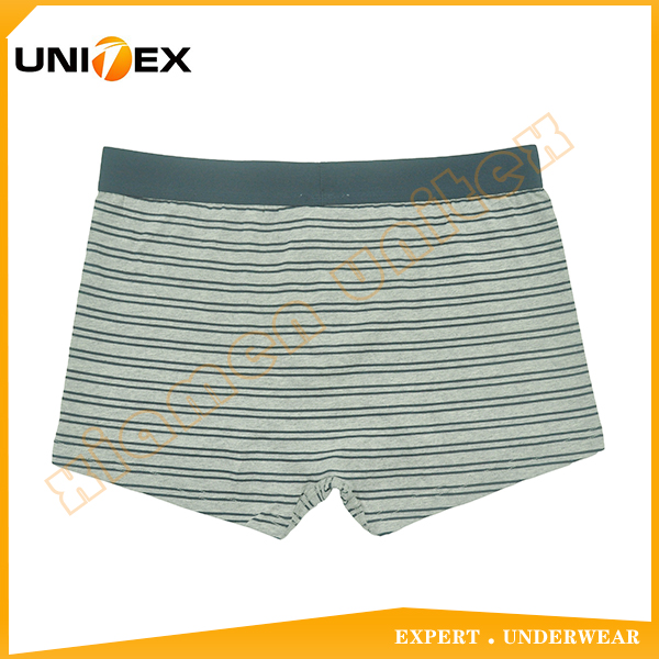 Men’s Boxer Briefs — Cotton, Moisture-Wicking, 160 GSM — Men's Boxers & Boxer Briefs programme — OEM & private label detail photo 2