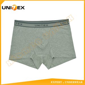 Men’s Boxer Briefs — Cotton, Moisture-Wicking, Up to 3XL — Men's Boxers & Boxer Briefs programme — thumbnail of OEM & private label sample 1
