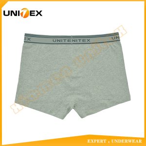 Men’s Boxer Briefs — Cotton, Moisture-Wicking, Up to 3XL — Men's Boxers & Boxer Briefs programme — thumbnail of OEM & private label sample 2
