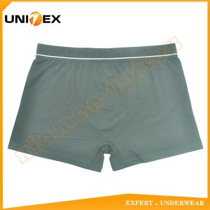 Men’s Boxer Briefs — Cotton, Moisture-Wicking, 170 GSM — Men's Boxers & Boxer Briefs programme — thumbnail of OEM & private label sample 2