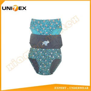 Boys’ Soft Thong Briefs — 3-Piece Pack, Cotton, Custom Print — Boys' Briefs & Thongs programme — thumbnail of OEM & private label sample 1