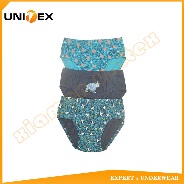 Boys’ Soft Thong Briefs — 3-Piece Pack, Cotton, Custom Print — Boys' Briefs & Thongs programme — OEM & private label product photo 1