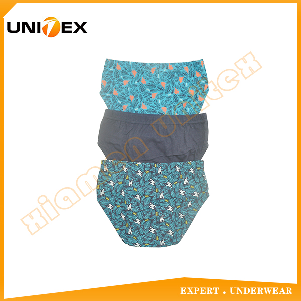 Boys’ Soft Thong Briefs — 3-Piece Pack, Cotton, Custom Print — Boys' Briefs & Thongs programme — OEM & private label detail photo 2