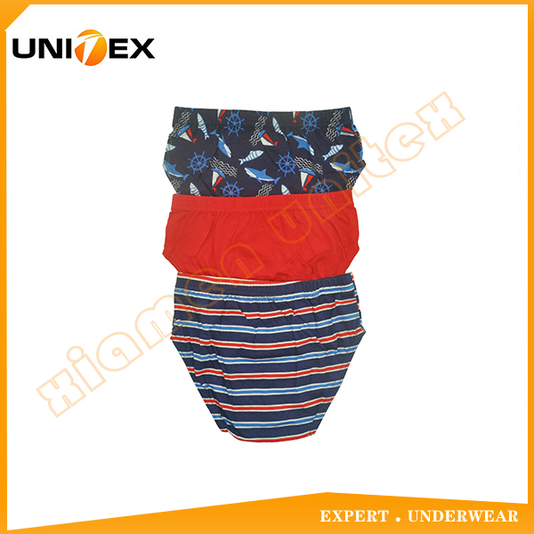 Boys’ Classic Thong Briefs — 3-Piece Pack, Cotton, Custom Print — Boys' Briefs & Thongs programme — OEM & private label detail photo 2