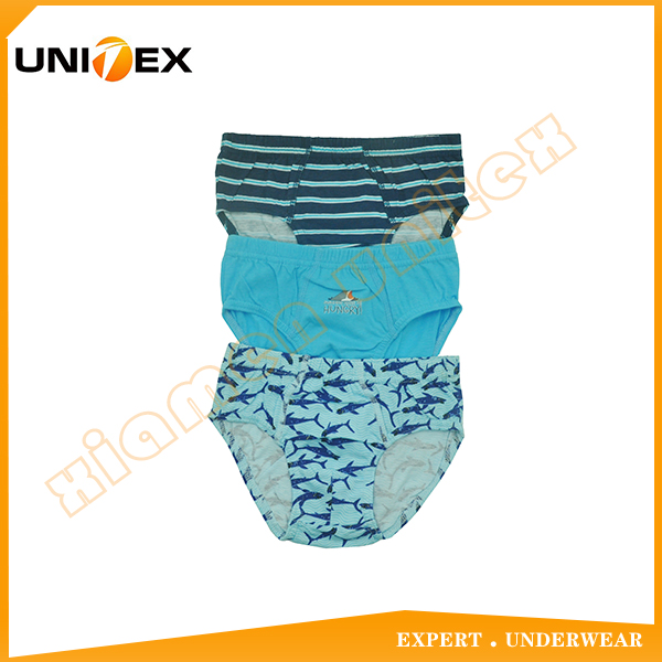 Boys’ Briefs — 3-Piece Pack, Cotton, Custom Print — 3pcs — Boys' Underwear programme — OEM & private label sample photo 1