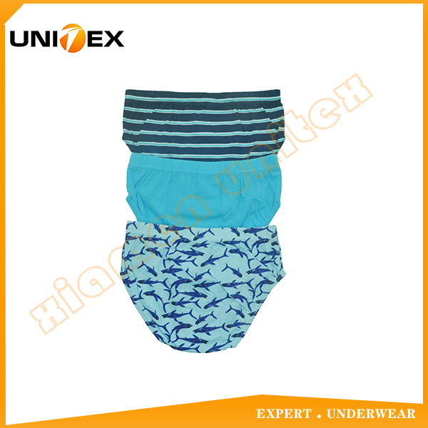 Boys’ Briefs — 3-Piece Pack, Cotton, Custom Print — Cotton — Boys' Briefs & Thongs programme — OEM & private label detail photo 2