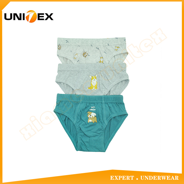Boys’ Basic Briefs — 3-Piece Pack, Cotton, Custom Print (Ref. custom-print) — Boys' Underwear programme — OEM & private label sample photo 1