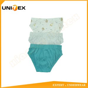 Boys’ Basic Briefs — 3-Piece Pack, Cotton, Custom Print, 135–145 GSM — Boys' Briefs & Thongs programme — OEM & private label sample photo 2