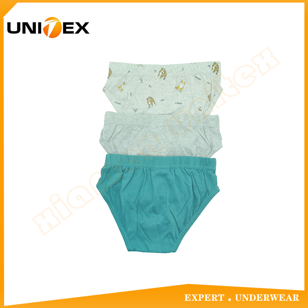 Boys’ Basic Briefs — 3-Piece Pack, Cotton, Custom Print, 135–145 GSM — Boys' Briefs & Thongs programme — OEM & private label detail photo 2