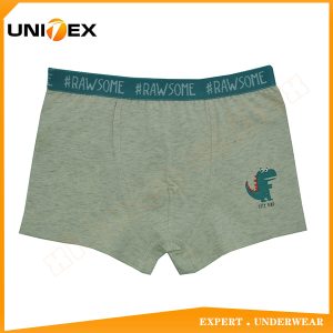 Boys’ Basic Boxer Shorts — Cotton, Cute — Boys' Boxers & Boxer Shorts programme — OEM & private label sample photo 1