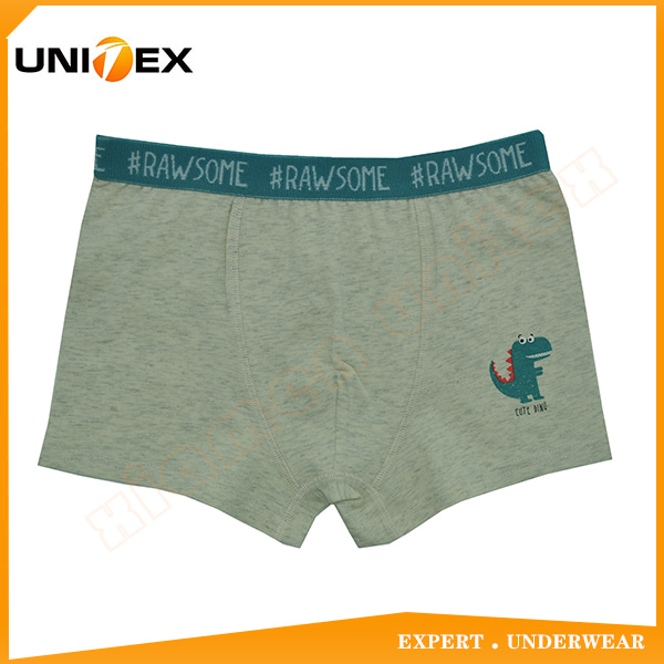 Boys’ Basic Boxer Shorts — Cotton, Cute — Boys' Underwear programme — OEM & private label sample photo 1
