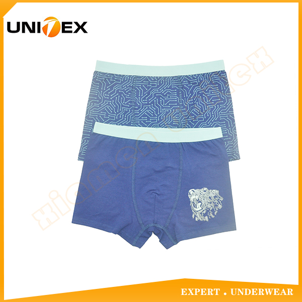 Boys’ Classic Boxer Shorts — 2-Piece Pack, Cotton, Custom Print — Boys' Underwear programme — OEM & private label sample photo 1