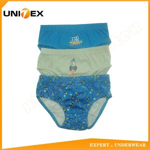 Boys’ Briefs — 3-Piece Pack, Cotton, Breathable — Boys' Briefs & Thongs programme — thumbnail of OEM & private label sample 1