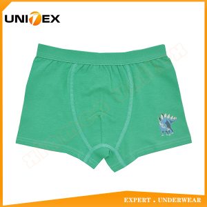 Boys’ Boxer Briefs — Cotton, Solid Colour, Cute — Boys' Boxers & Boxer Shorts programme — thumbnail of OEM & private label sample 1