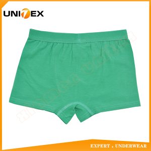 Boys’ Boxer Briefs — Cotton, Solid Colour, Cute — Boys' Boxers & Boxer Shorts programme — thumbnail of OEM & private label sample 2