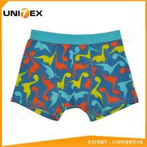 Boys’ Boxer Briefs — Cotton, Custom Print — Boys' Boxers & Boxer Shorts programme — OEM & private label sample photo 1