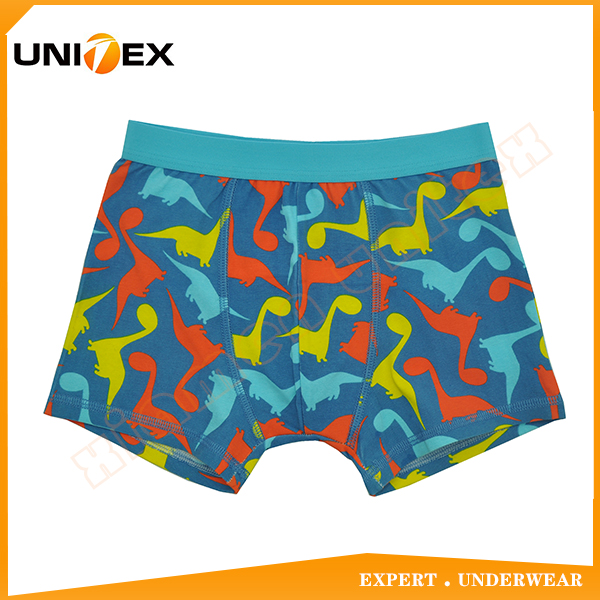 Boys’ Boxer Briefs — Cotton, Custom Print — Boys' Underwear programme — OEM & private label sample photo 1
