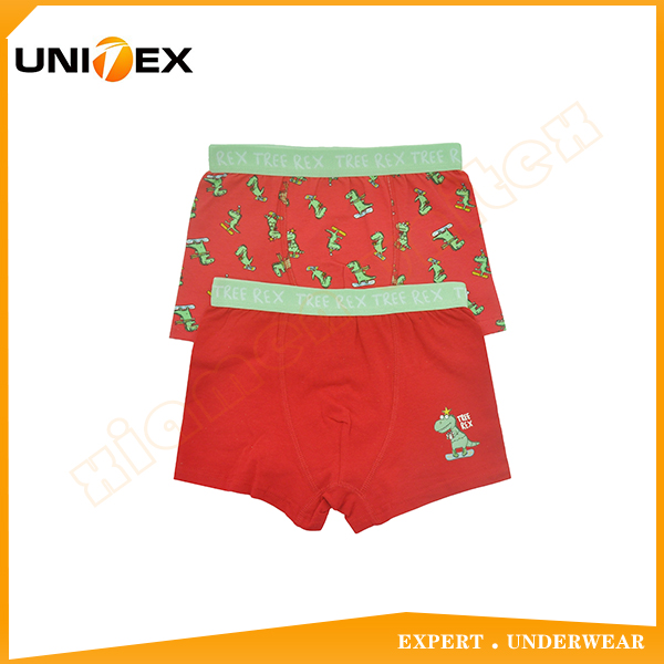 Boys’ Classic Boxer Shorts — 2-Piece Pack, Cotton/Spandex, Custom Print — Boys' Underwear programme — OEM & private label sample photo 1