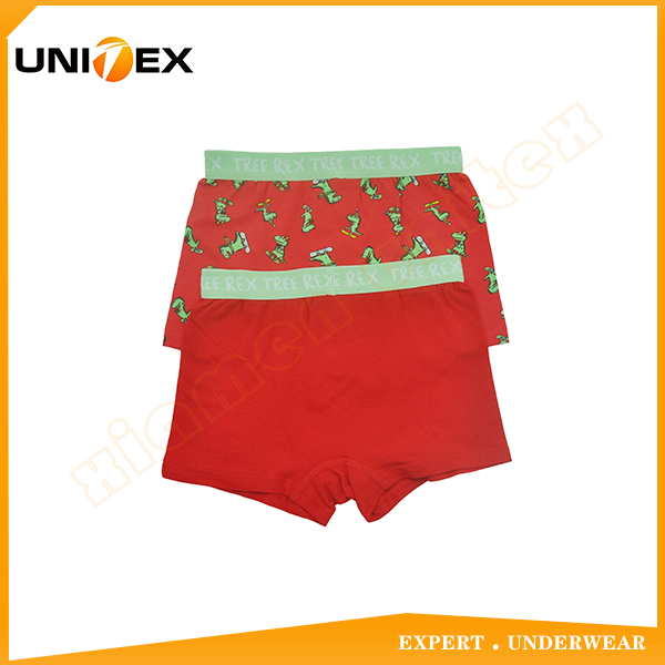 Boys’ Classic Boxer Shorts — 2-Piece Pack, Cotton/Spandex, Custom Print — Boys' Boxers & Boxer Shorts programme — OEM & private label detail photo 2
