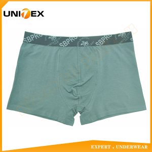 Men’s Boxer Briefs — 2-Piece Pack, Cotton, Comfort Fit — Men's Boxers & Boxer Briefs programme — OEM & private label sample photo 2