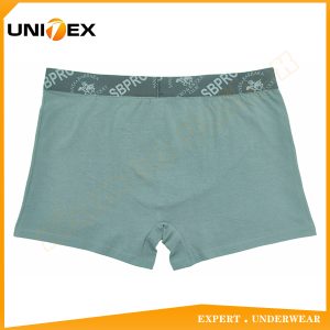 Men’s Boxer Briefs — 2-Piece Pack, Cotton, Comfort Fit — Men's Boxers & Boxer Briefs programme — OEM & private label sample photo 4