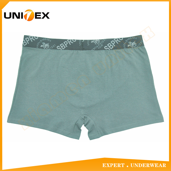 Men’s Boxer Briefs — 2-Piece Pack, Cotton, Comfort Fit — Men's Boxers & Boxer Briefs programme — OEM & private label detail photo 4