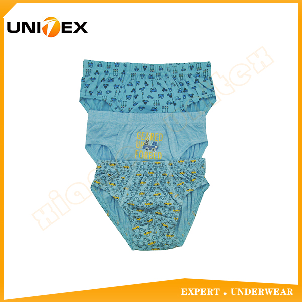 Boys’ Basic Briefs — 3-Piece Pack, Cotton, Custom Print (Ref. custom-print) 3 — Boys' Underwear programme — OEM & private label sample photo 1