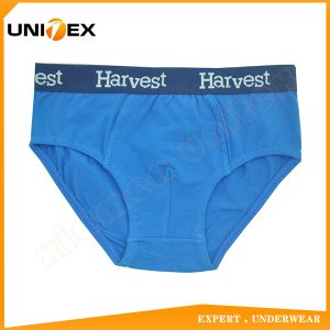 Boys’ Classic Briefs — Cotton, Jacquard Elastic, Solid Colour — Boys' Briefs & Thongs programme — thumbnail of OEM & private label sample 1