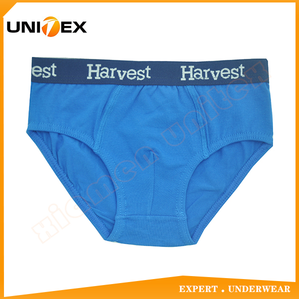 Boys’ Classic Briefs — Cotton, Jacquard Elastic, Solid Colour — Boys' Underwear programme — OEM & private label sample photo 1